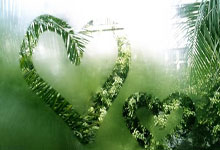 2022世界杯荷兰队为何能闯进四强？他们的表现藏着哪些惊喜与遗憾？