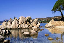 天皇杯赛程是如何安排的？各阶段有哪些关键信息？